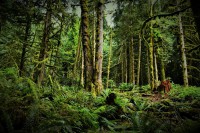 /album/www-pix-fx-de/dsc-0945-kopie-jpg1/